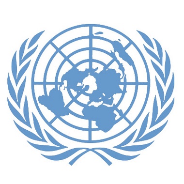 Organisation des Nations Unies